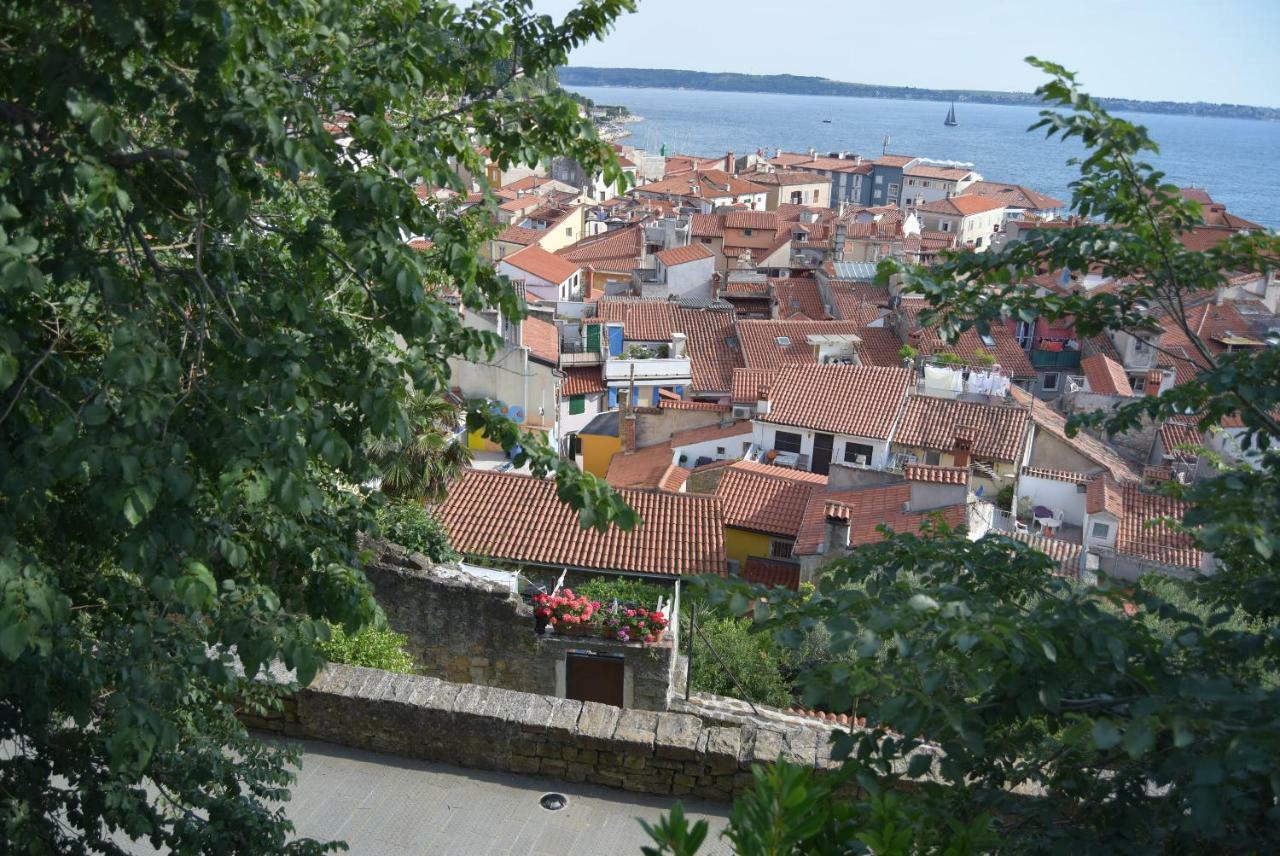 Traditional House * Piran